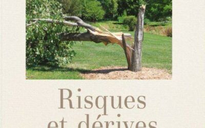Risques et dérives de la vie religieuse-de Lassus D.-2020-Cerf, Paris